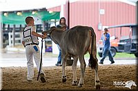 LCFAIR14-0859.jpg