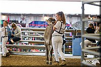LCFAIR14-0860.jpg