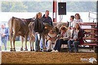 LCFAIR14-0864.jpg