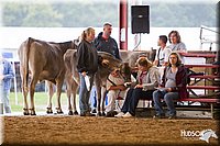 LCFAIR14-0865.jpg