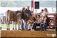 LCFAIR14-0866.jpg