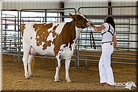 LCFAIR14-0908.jpg