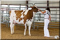 LCFAIR14-0909.jpg