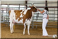 LCFAIR14-0910.jpg