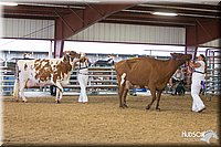 LCFAIR14-0912.jpg