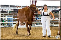 LCFAIR14-0923.jpg