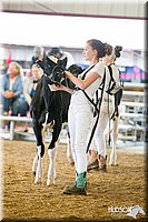LCFAIR14-0945.jpg