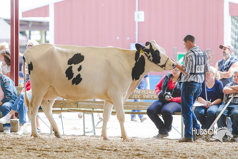LCFAIR14-2742.jpg