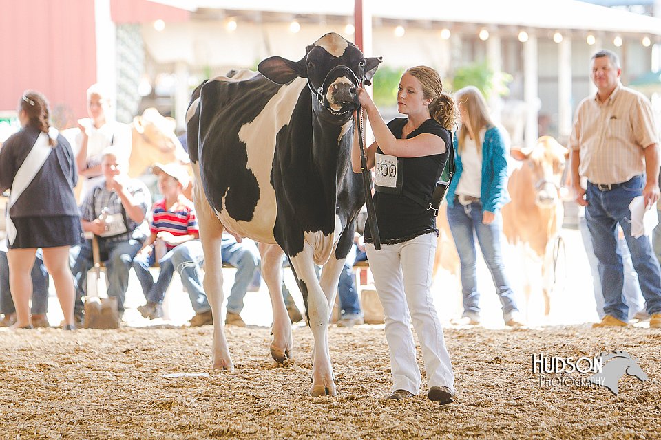 LCFAIR14-2744.jpg
