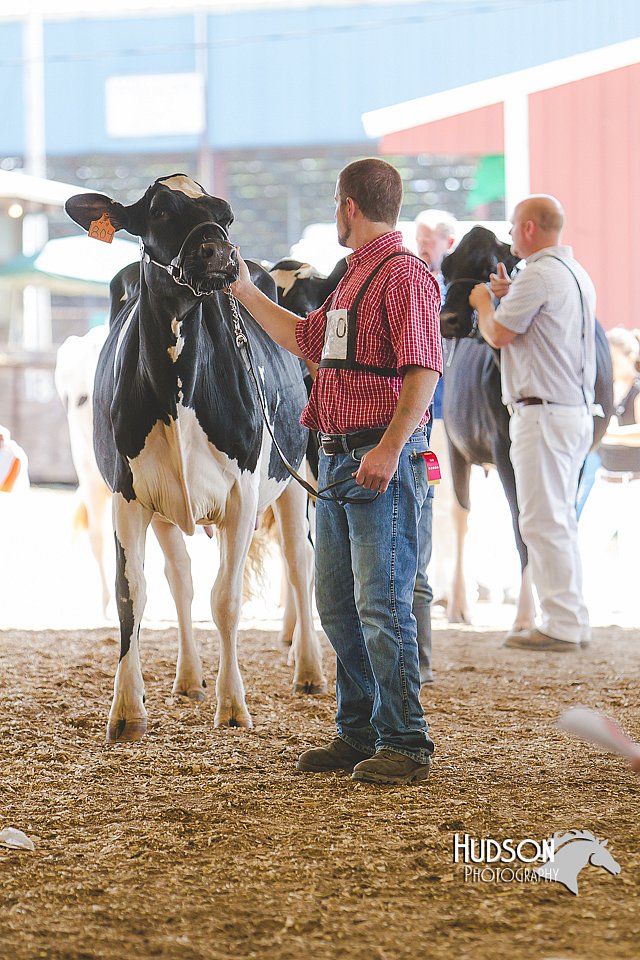 LCFAIR14-2753.jpg