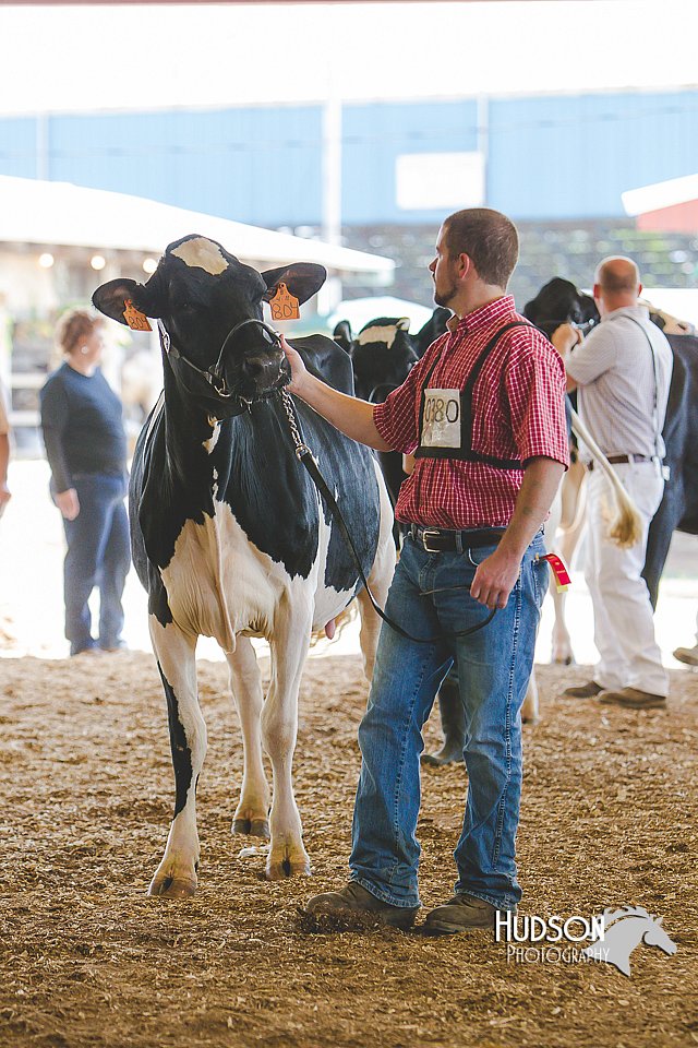 LCFAIR14-2754.jpg