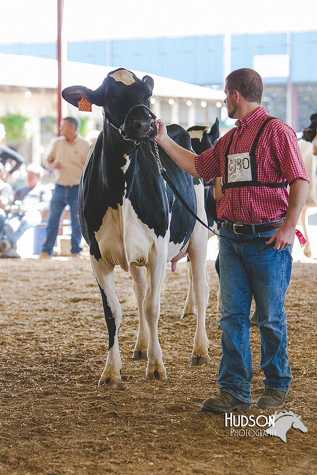 LCFAIR14-2755.jpg