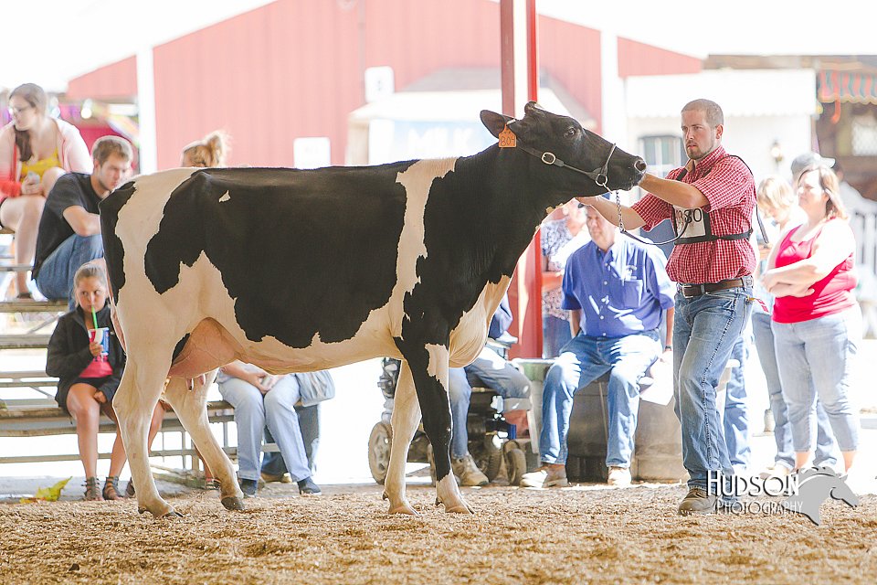 LCFAIR14-2757.jpg