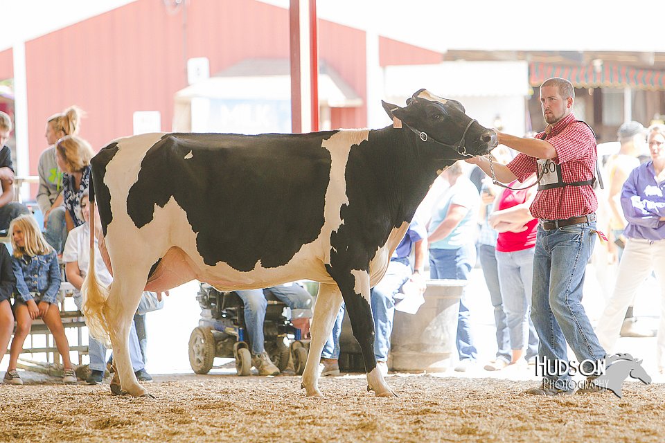 LCFAIR14-2758.jpg