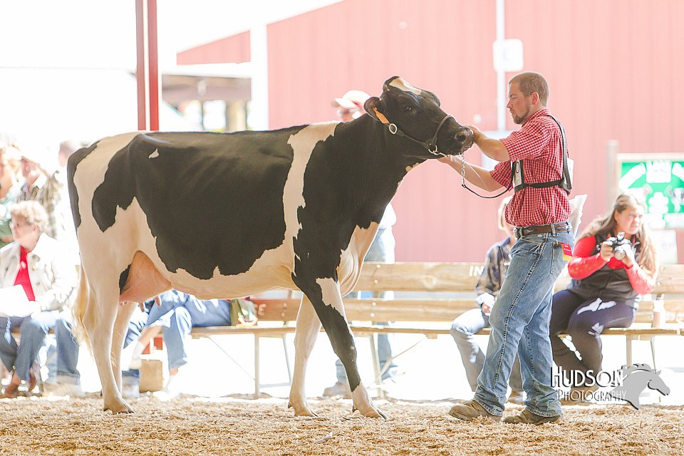 LCFAIR14-2759.jpg