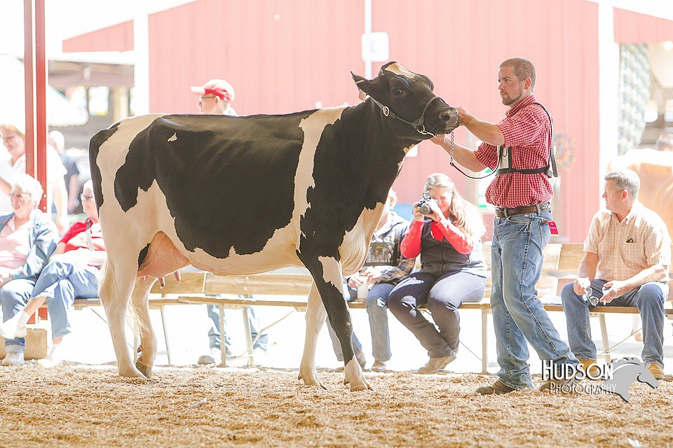 LCFAIR14-2760.jpg