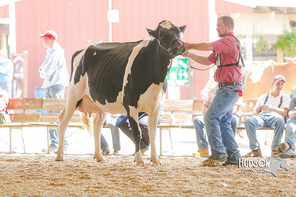 LCFAIR14-2761.jpg