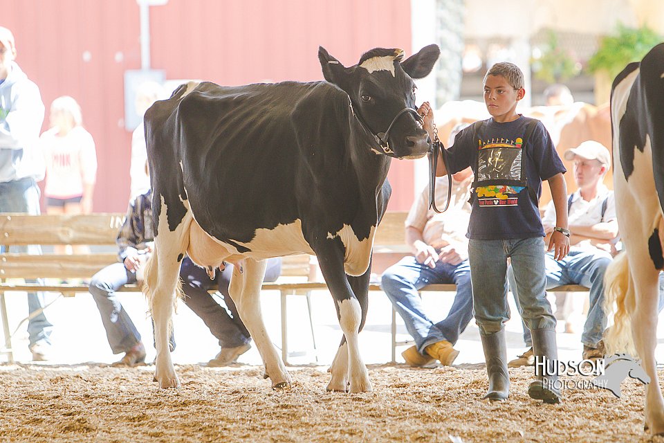 LCFAIR14-2762.jpg