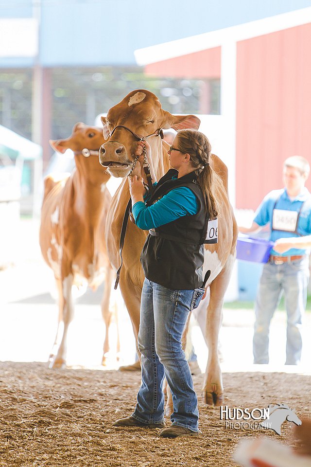 LCFAIR14-2763.jpg