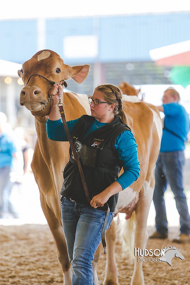 LCFAIR14-2765.jpg