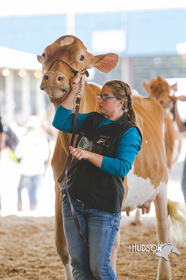 LCFAIR14-2766.jpg
