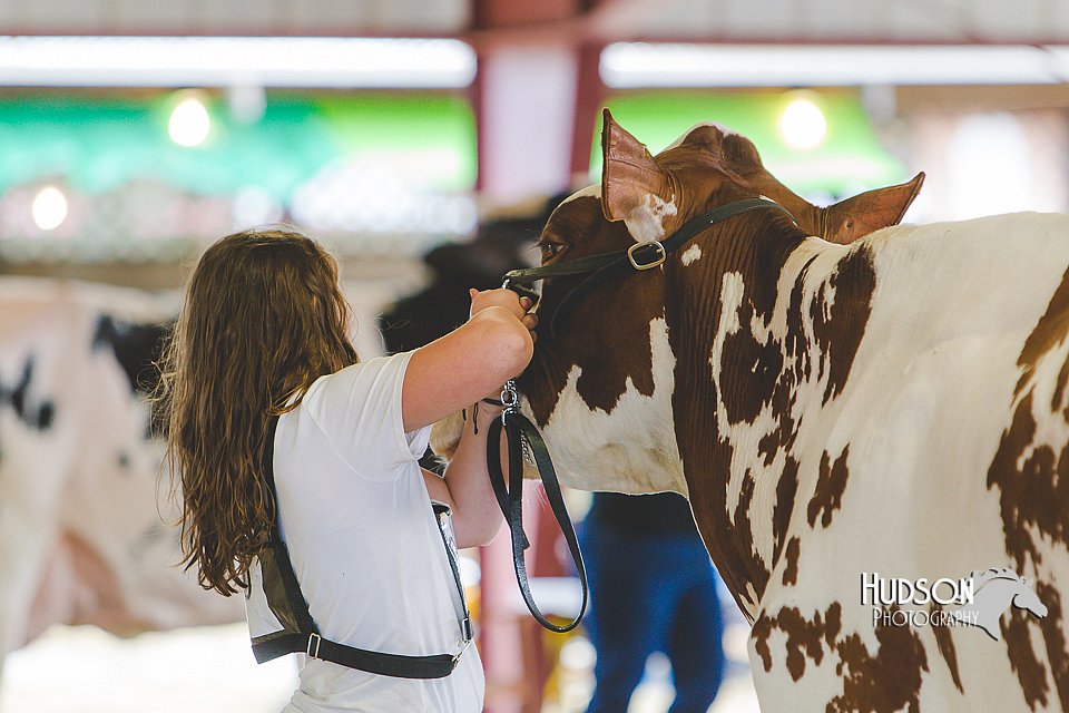 LCFAIR14-2769.jpg