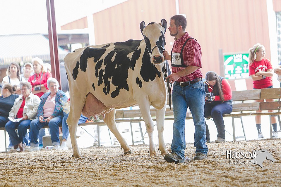 LCFAIR14-2770.jpg