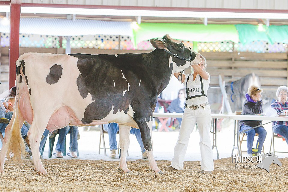 LCFAIR14-2785.jpg