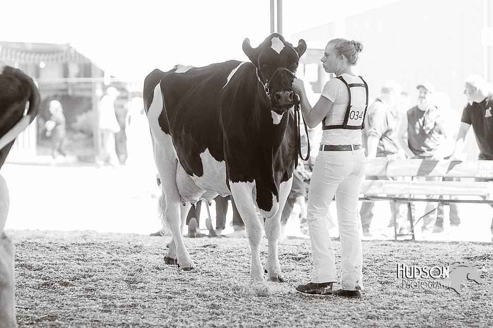 LCFAIR14-2787.jpg