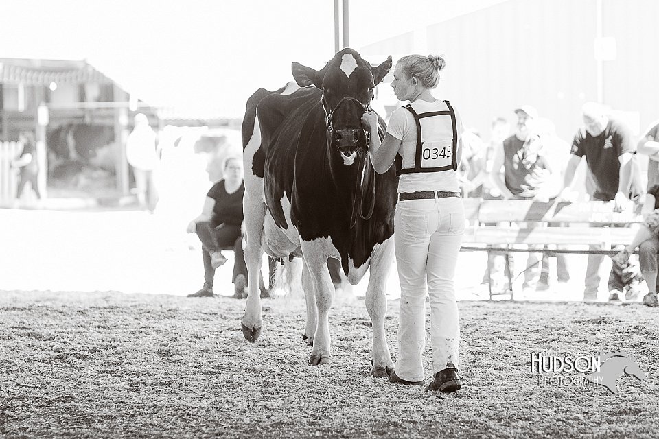 LCFAIR14-2788.jpg
