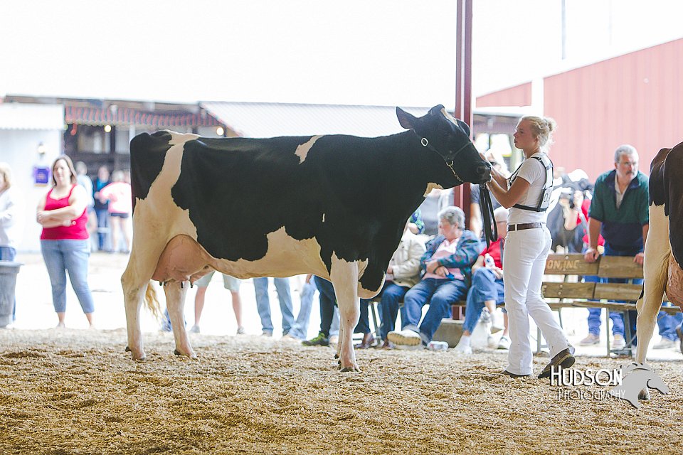 LCFAIR14-2791.jpg
