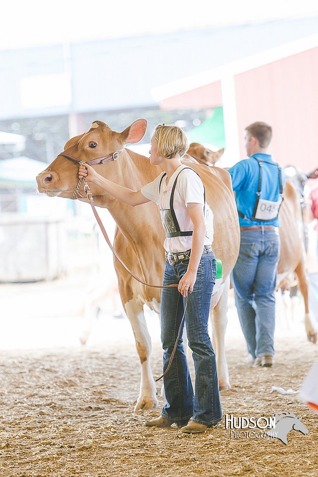 LCFAIR14-2792.jpg