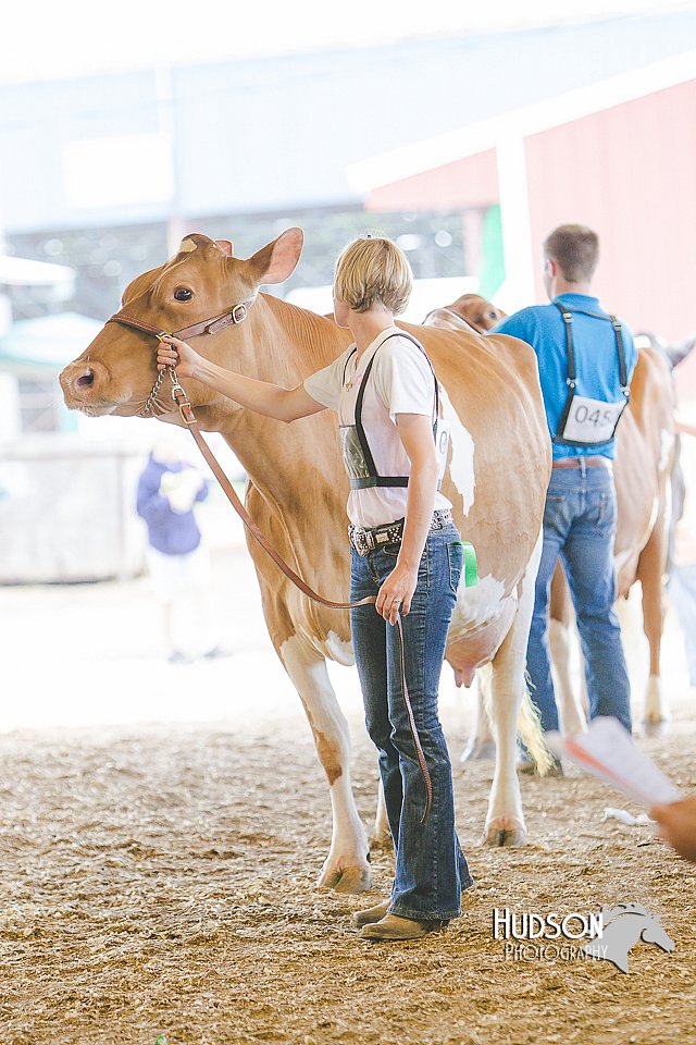 LCFAIR14-2793.jpg