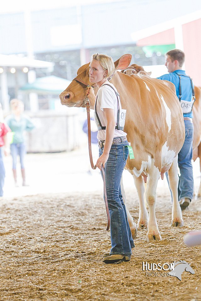 LCFAIR14-2795.jpg