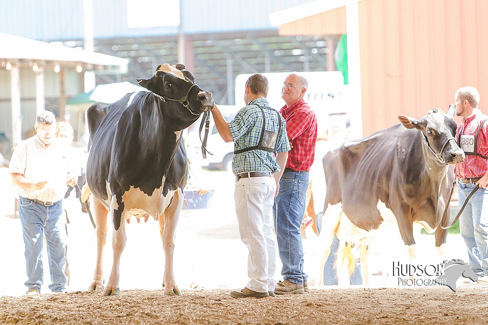 LCFAIR14-2797.jpg