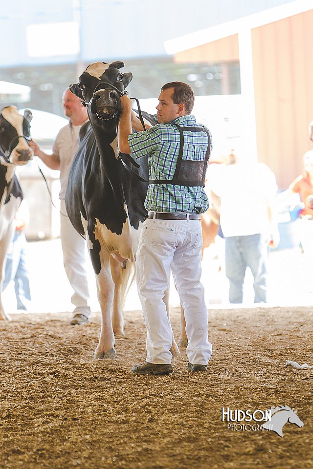 LCFAIR14-2799.jpg