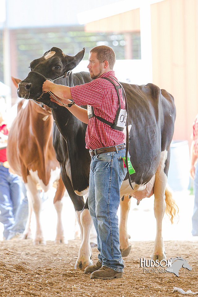 LCFAIR14-2801.jpg