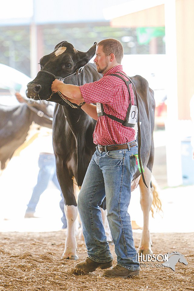 LCFAIR14-2802.jpg
