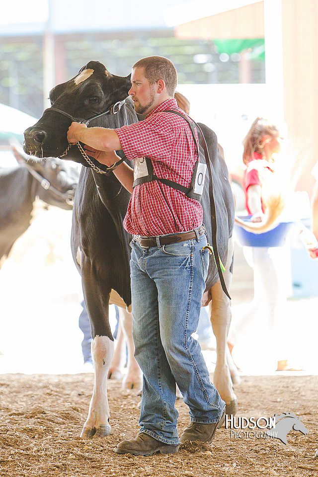 LCFAIR14-2803.jpg