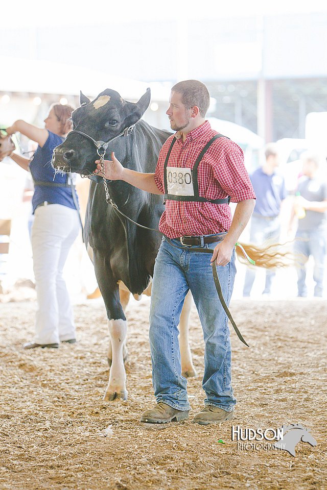LCFAIR14-2804.jpg