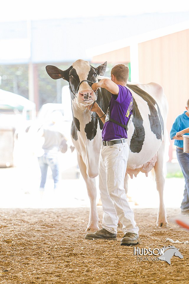LCFAIR14-2807.jpg