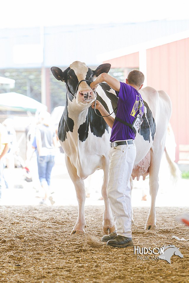LCFAIR14-2808.jpg