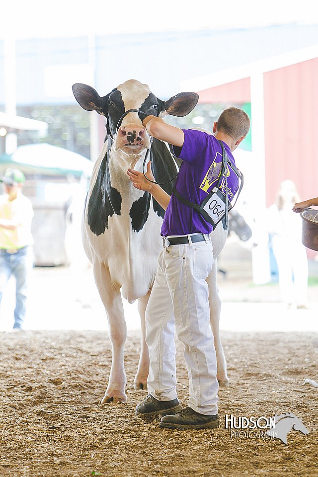LCFAIR14-2809.jpg