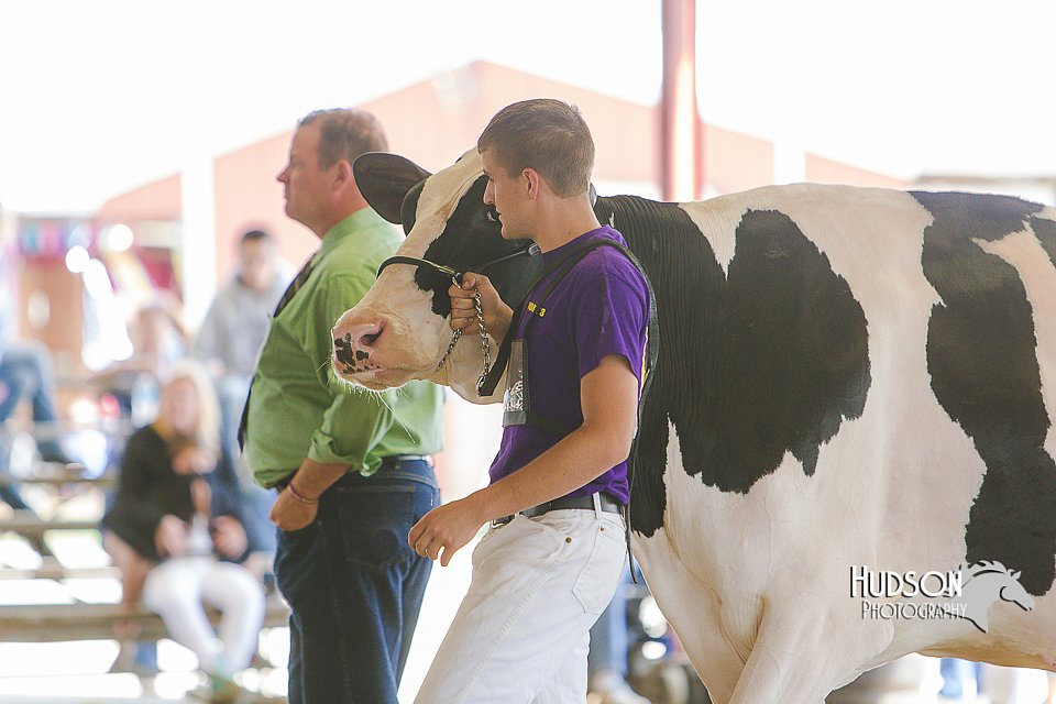 LCFAIR14-2811.jpg