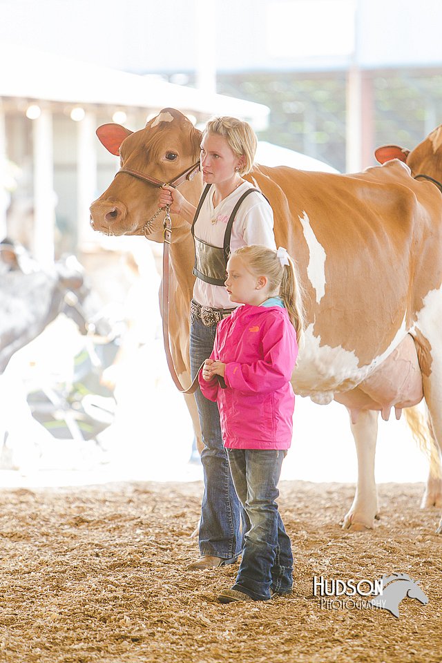 LCFAIR14-2813.jpg