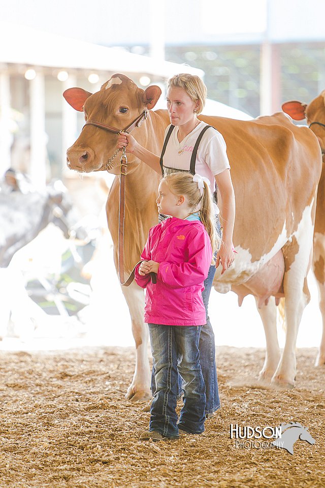 LCFAIR14-2814.jpg