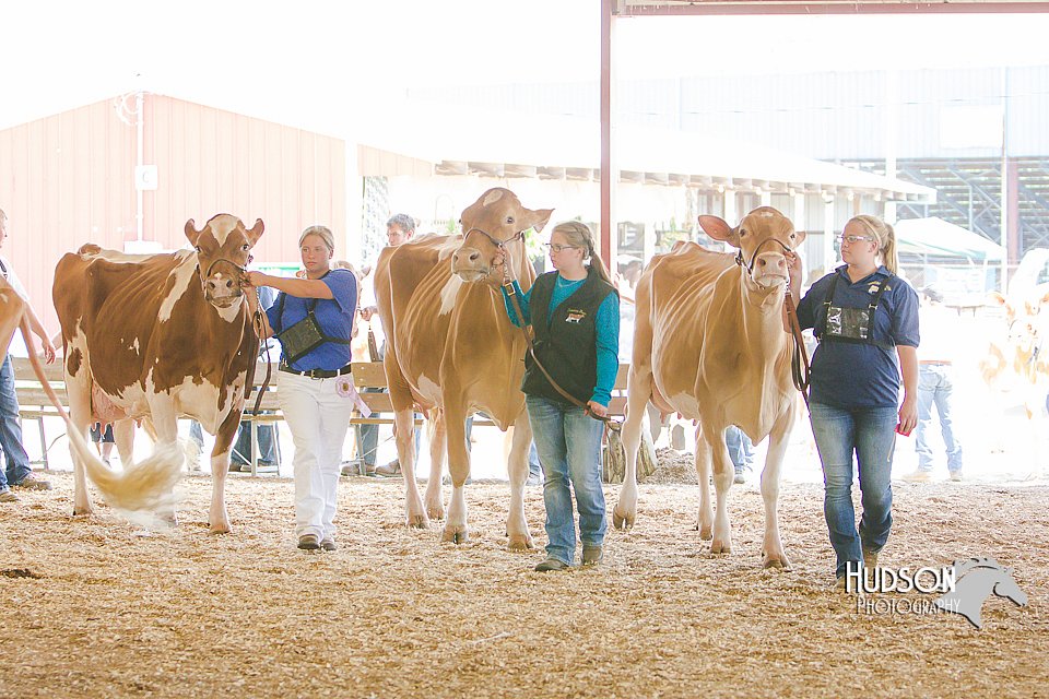 LCFAIR14-2815.jpg