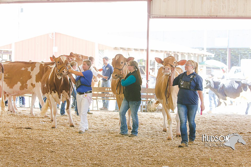 LCFAIR14-2818.jpg
