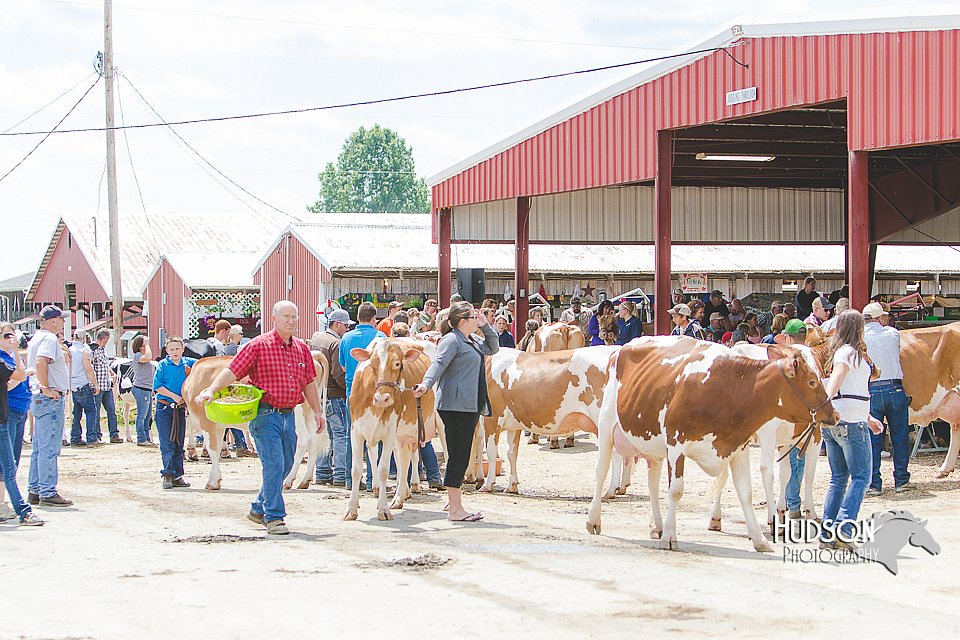 LCFAIR14-2820.jpg