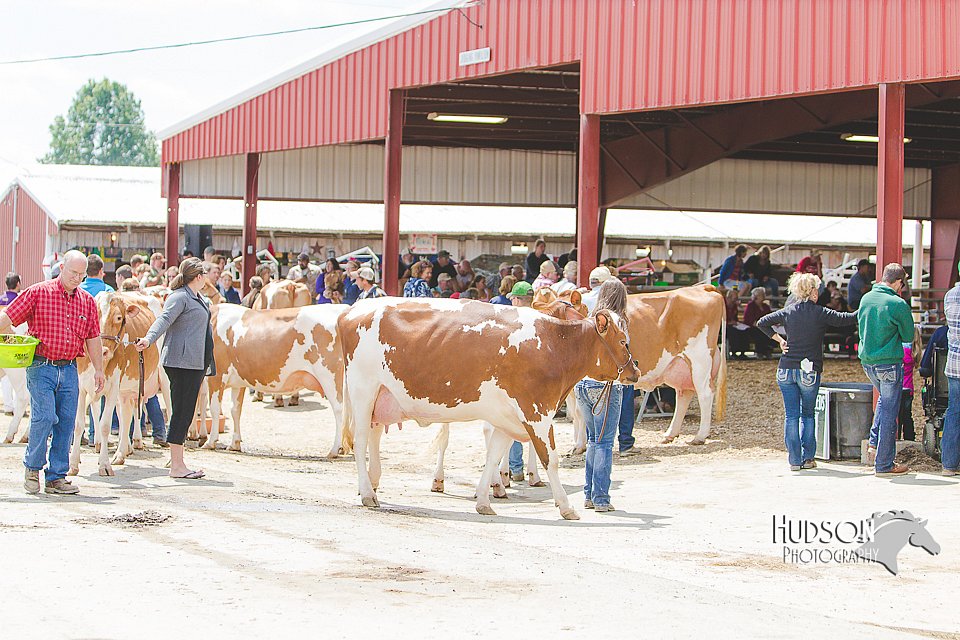 LCFAIR14-2821.jpg